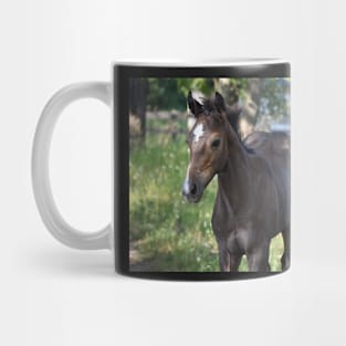 TB COLT Mug